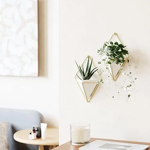 Geometric Wall Planters Set