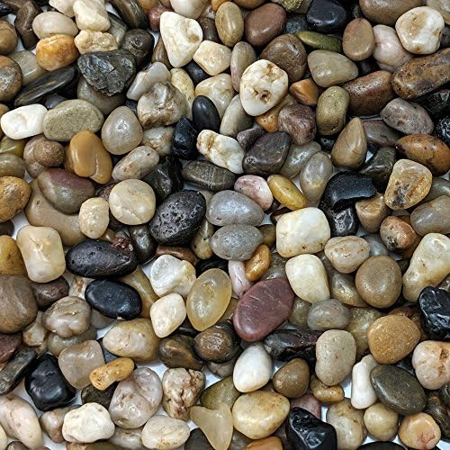 Decorative Polished Pebbles