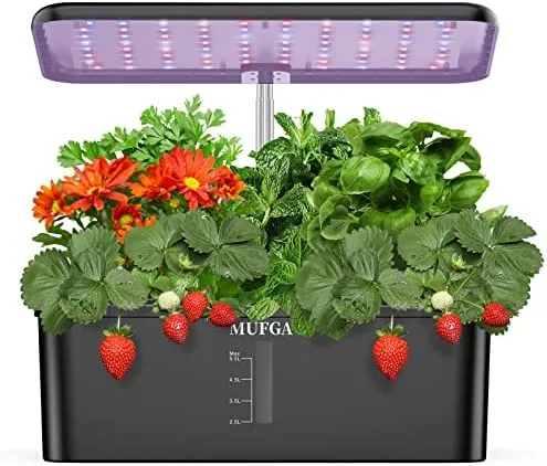 Hydroponic Growing Kit