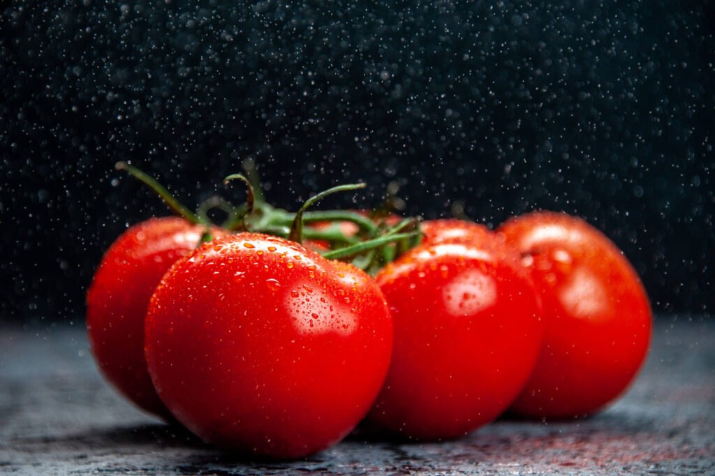 Tomato Gardening