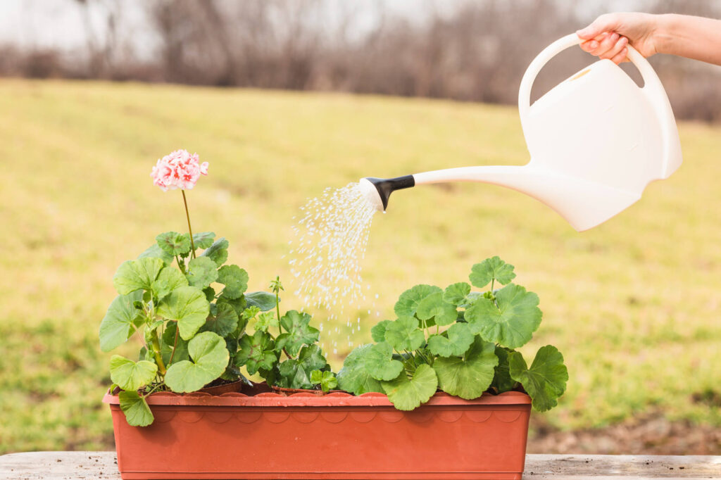 DIY Garden Watering