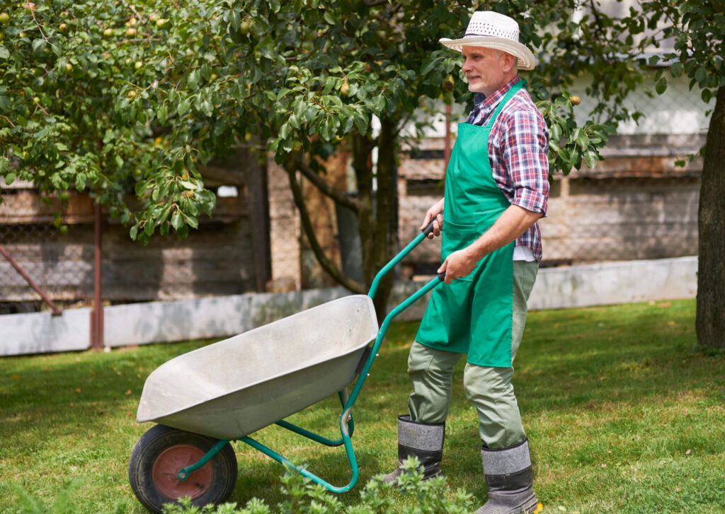 Wheelbarrow