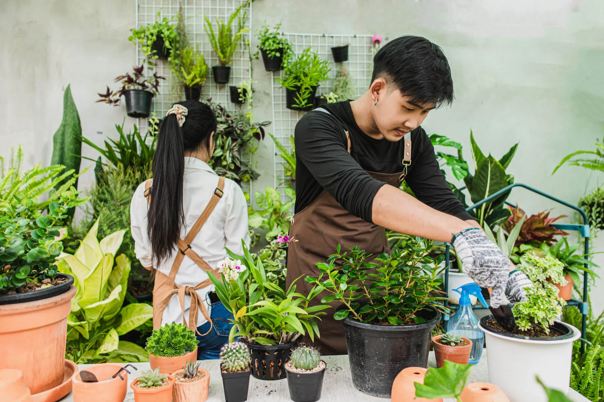 Vertical gardening systems