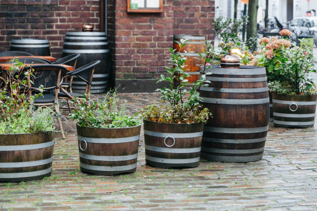 plants in tires or old containers