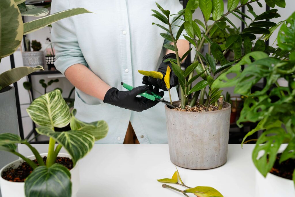 How to create a vertical garden