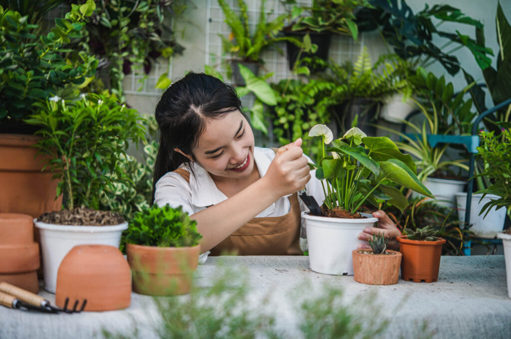 Small space gardening