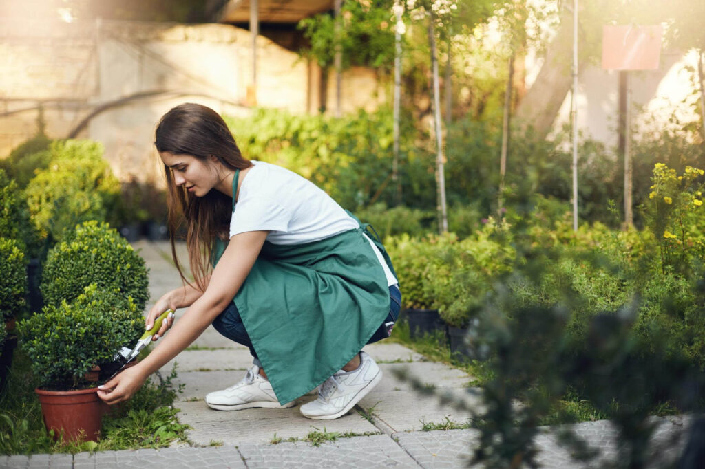 Benefits of Garden Therapy