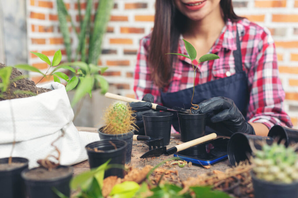 Gardening Tips