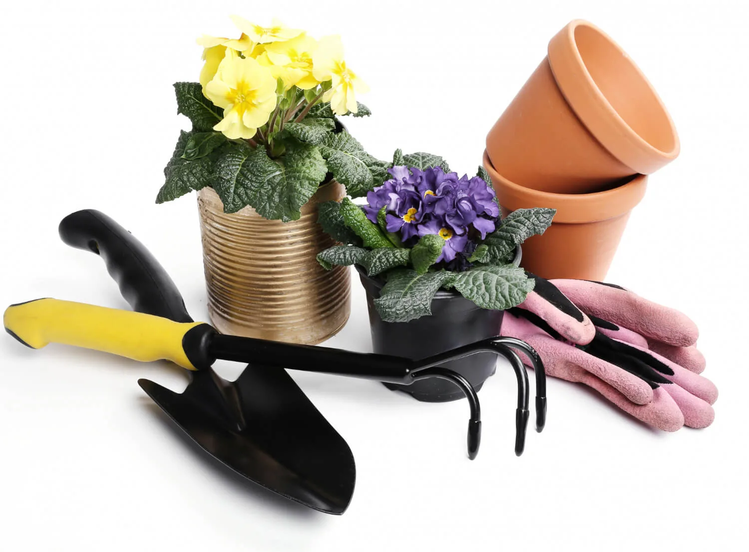 gardening tools