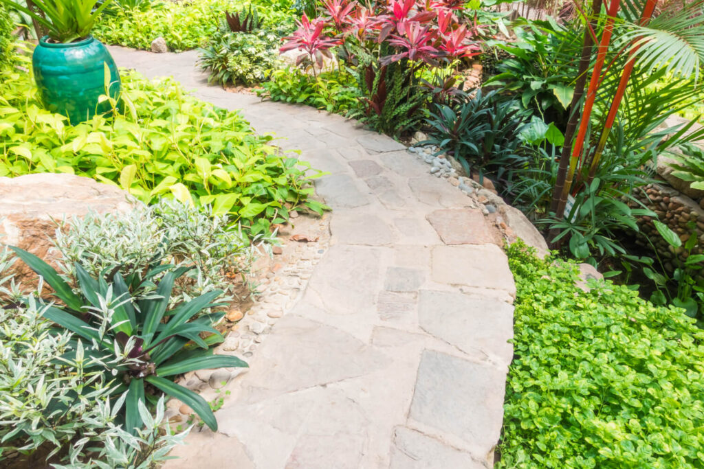 path way garden ideas