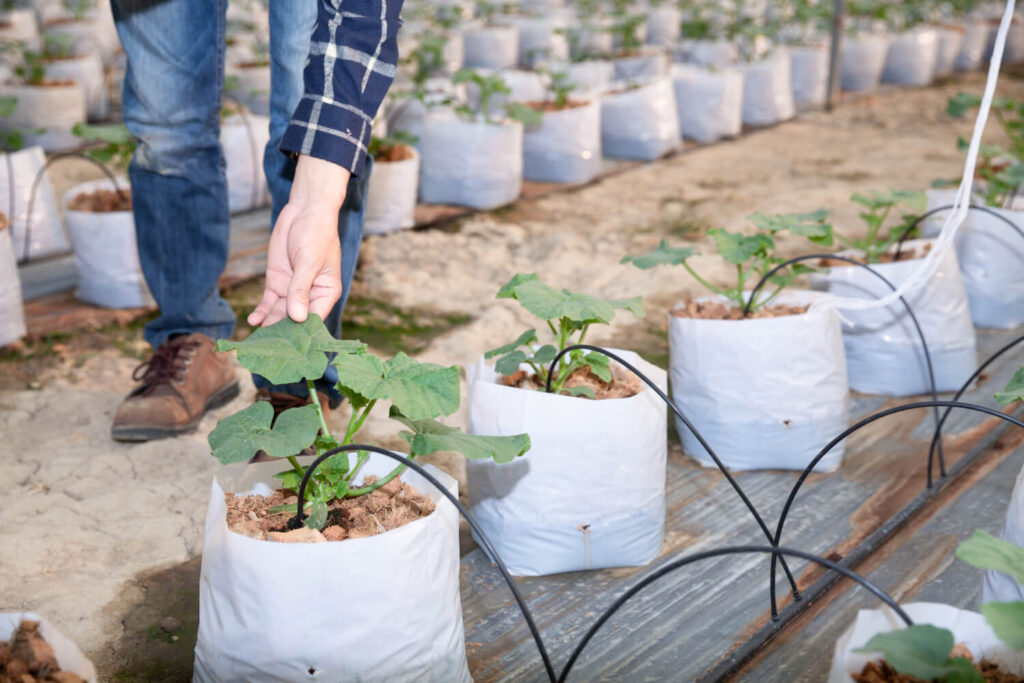 Smart Irrigation System